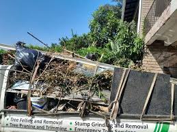 Best Furniture Removal  in Scanlon, MN